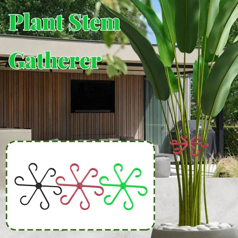 Plant Stem Support Alocasia Monstera Leaf Support Vine Support Clips For Climbing Plants To Grow Upright And Make Healthier R2E6