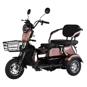 Mini -Elektromotorrad mit Stahlrahmen für ältere Menschen, 3 -Rad -Roller, Klappereien, Freizeit, neues Modell, 60 V, 500W, 2023 9 Haupt 3 -Rad -Mota -Verkauf - №4