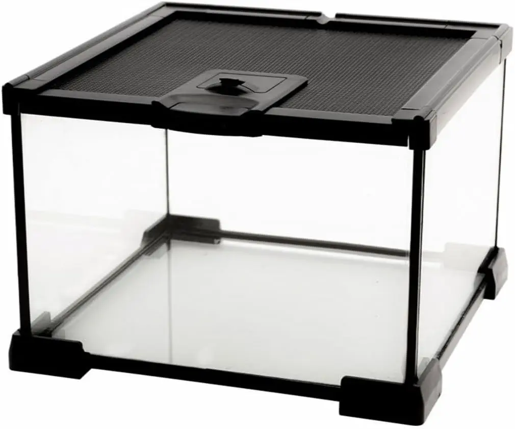 

Mini Reptile Glass Terrarium Tank 7.9x7.9x5.7in for Tarantula Gecko Frog Lizard