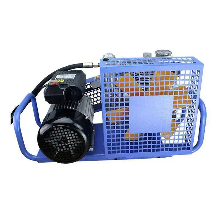 

Oxygen Filling Pump, Air Respirator, Booster Pump