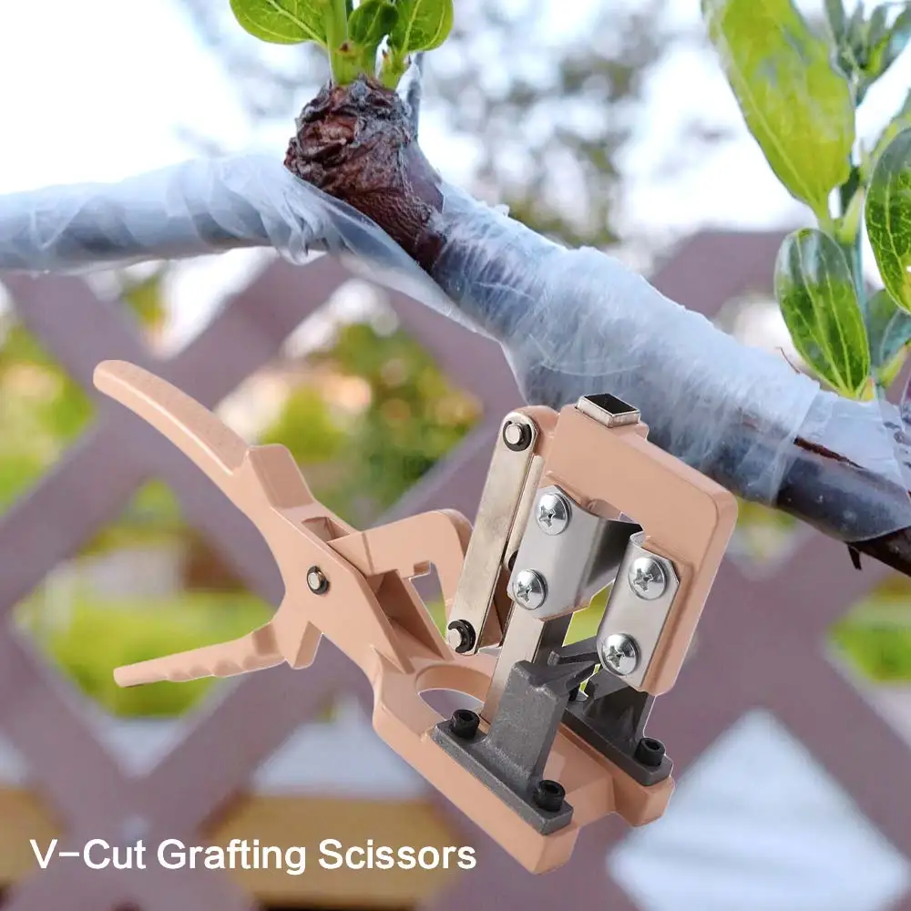 

Professional V-Cut Grafting Scissors Efficient Labor Saving Thick Branches Grafting Scissor Stainless Steel Pruning Plant Shears