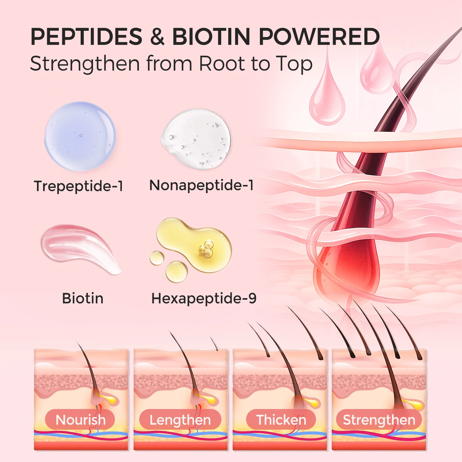 래피드 속눈썹 강화제 고급 펩타이드 세럼, 더 길고 풍성하고 두꺼운 속눈썹을 위한 자연스러운 속눈썹 연장 컨디셔너 - 5ml
