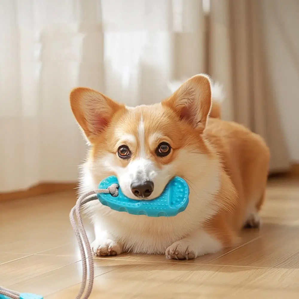 

TPR Dog Suction Cup Slippers Toys Bite-Resistant Elastic Pet Teeth Grinding Toy Interactive Ball Dog Chew Toy Relieving Stuffy