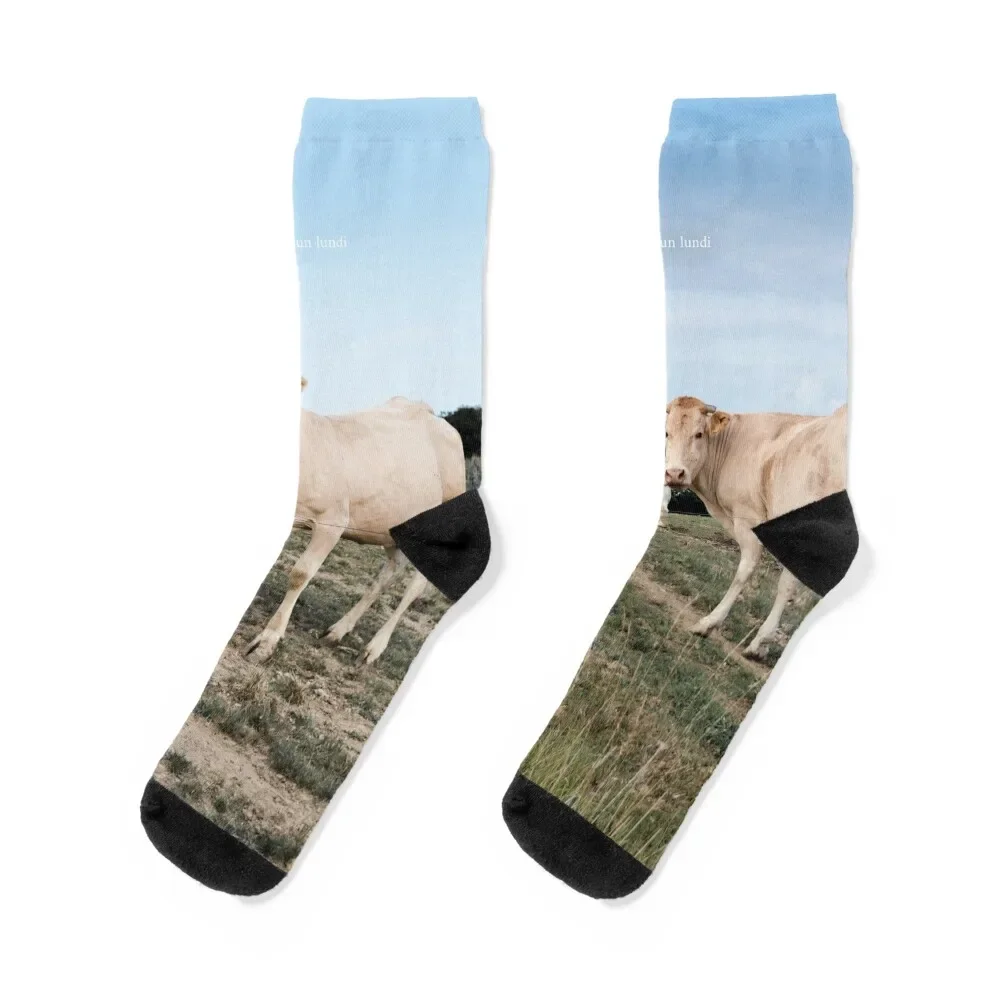 

A cow from the French south west, a little bit surprised to see someone in the countryside - Like a Moonday Socks