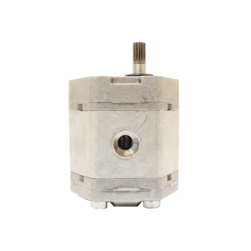 Hot SellingFactory Directly Supply Hydraulic Double Gear Pump