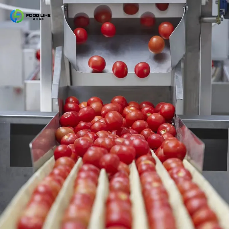 Customized Automatic Canned Ketchup Paste Filling Machine Ketchup Production Line Equipment