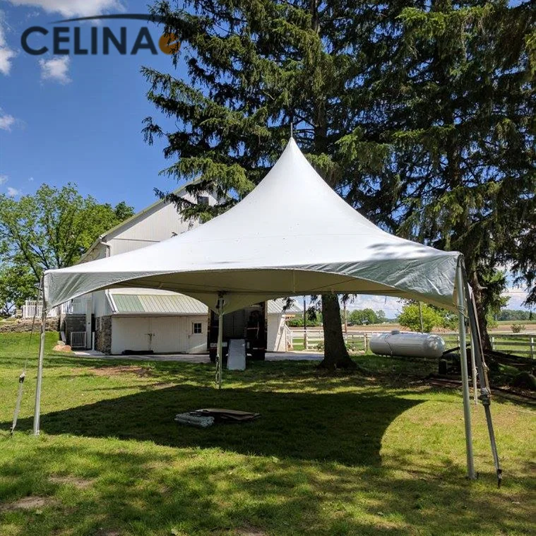 Celina China Factory Heavy Duty Canopy Shelter with Removable Window Walls Fire Retardant PVC Party Tent  by 15ft X15ft