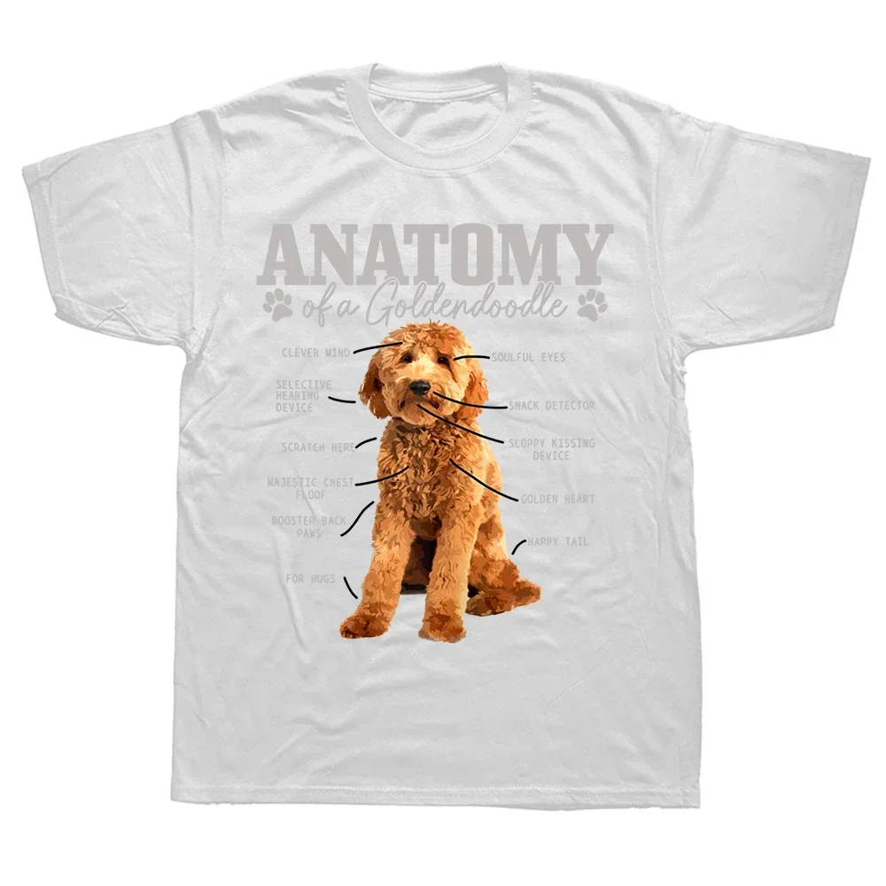 Anatomy Of A Goldendoodle T-Shirt Funny Cute Dog Doodle Mom Dad T Shirts Cotton Tops Shirt High Street for Men Short Sleeve