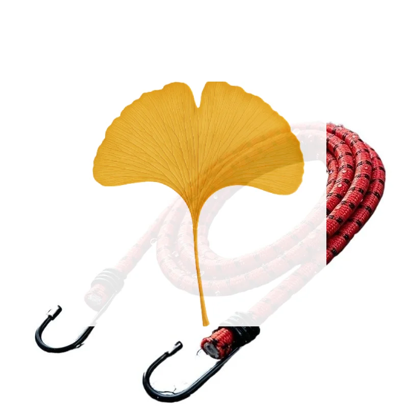 Heavy Duty Multicolor Bungee Cords With Metal Hooks Strong Stretch For Securing Luggage Cargo Camping