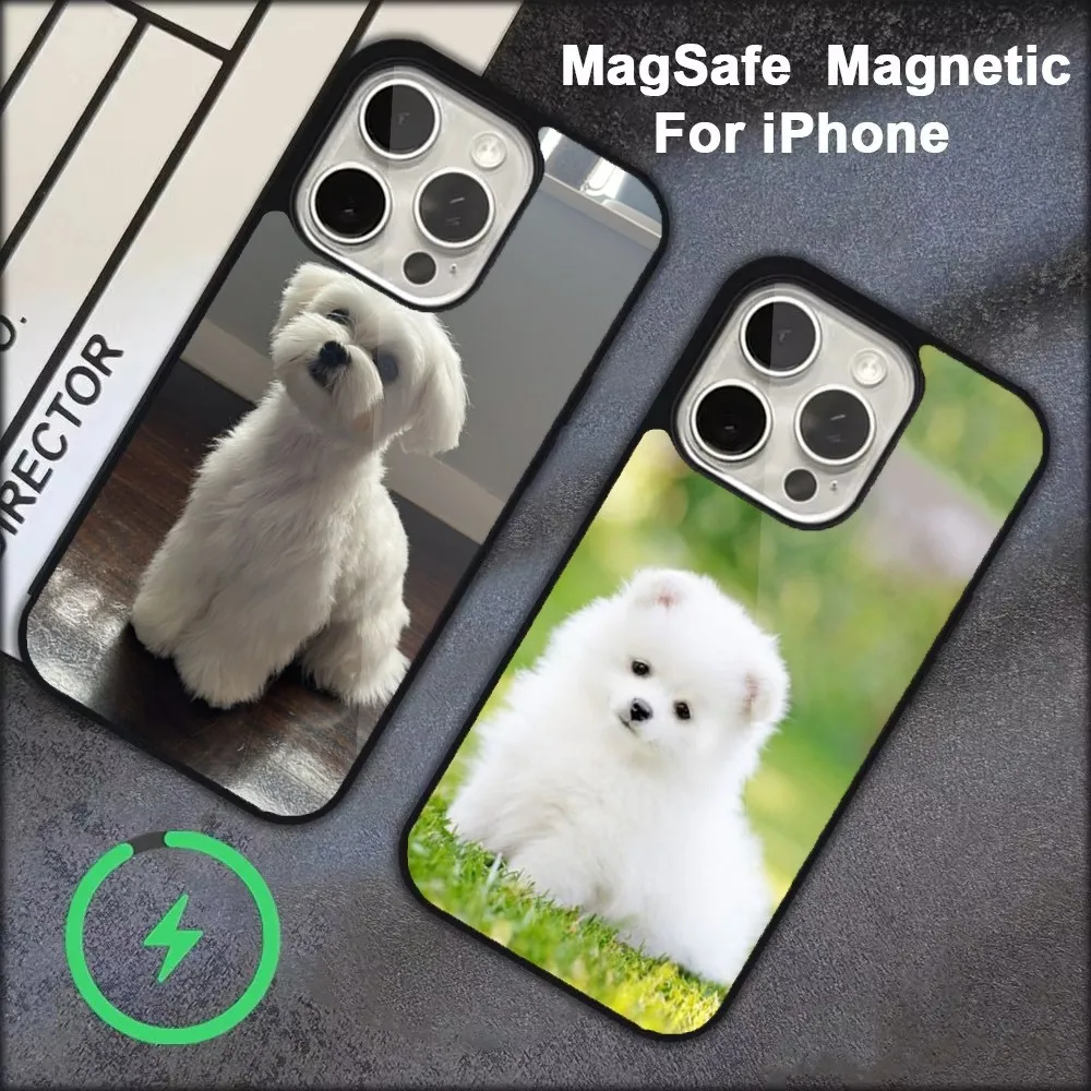 

Maltese Dog Cute Phone Case For iPhone 16,15,14,13,12,11,Pro,Max,Plus,Mini, Magsafe,Magnetic Wireless Charging Case