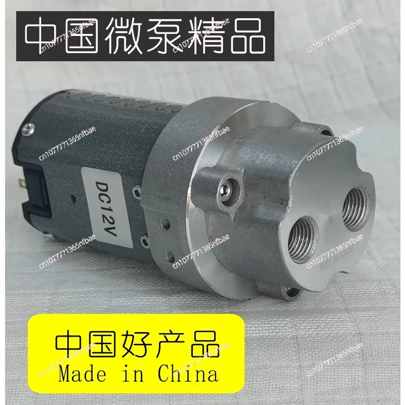 12V Low Noise Electric Oil Transfer Pump - Multi-Fuel Diesel/Gear Oil Pump for Vehicle Maintenance, Self-Priming Refueling Pump