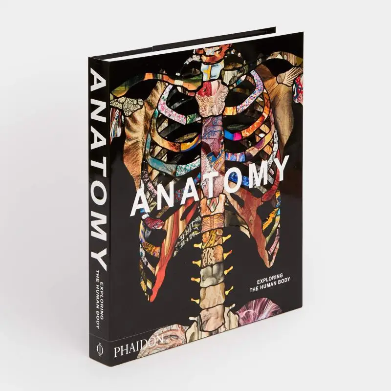 Anatomy Phaidon Editors Phaidon Press 9780714879888 Book