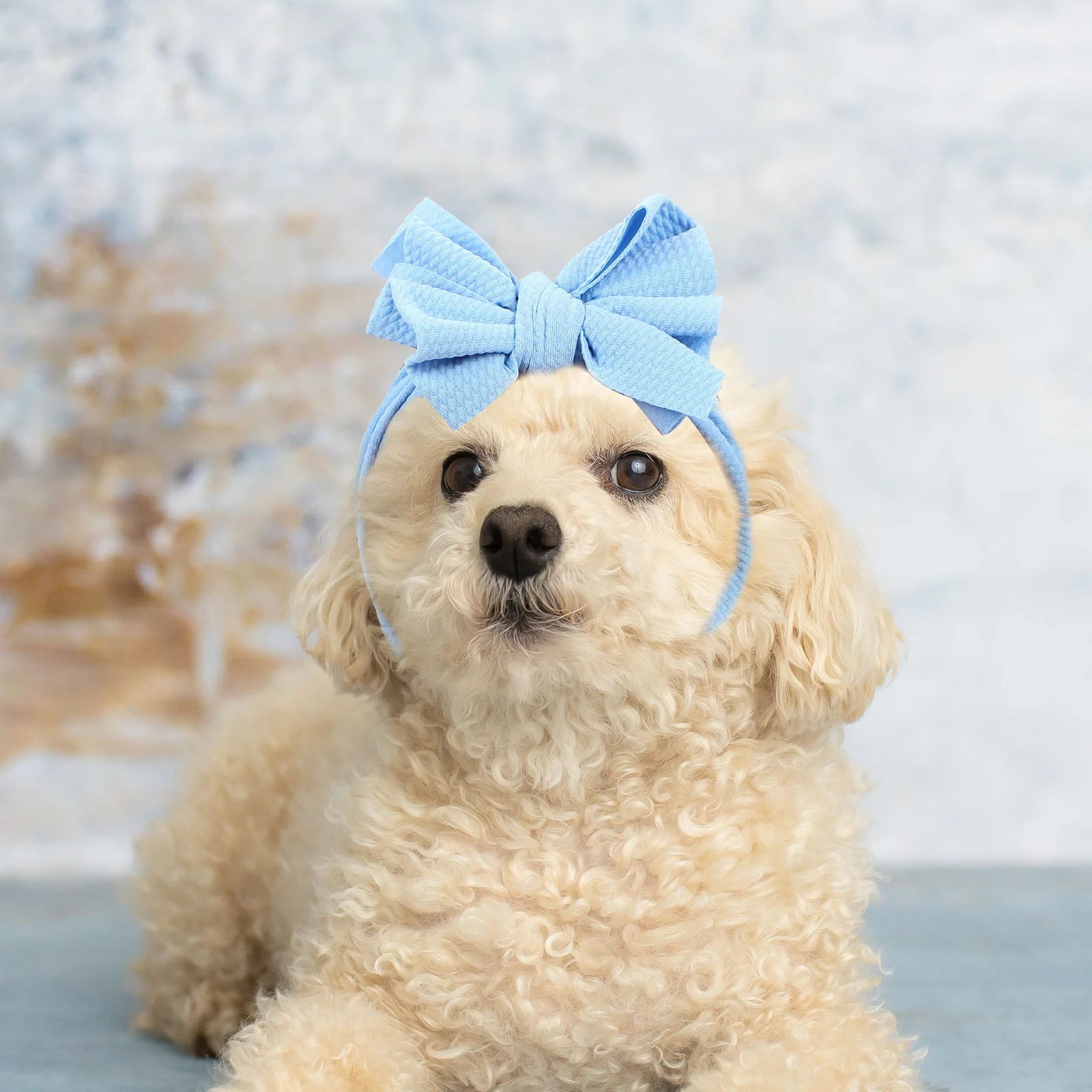 

2pcs Pet Headband For Dogs Decorative Bow Lightweight Elastic Puppy Bow Headband Party Decor Dog Costume Accessories Dog Photo