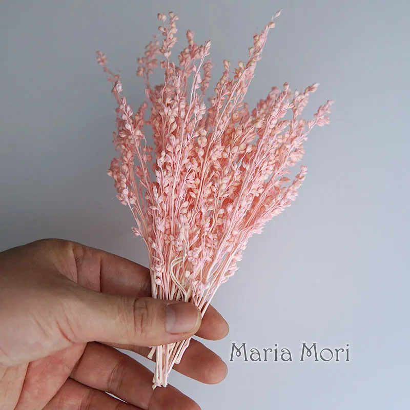 yZ[z10 O/Vނ̃JtȕYߊق̉ԎޗA}Lhޗ