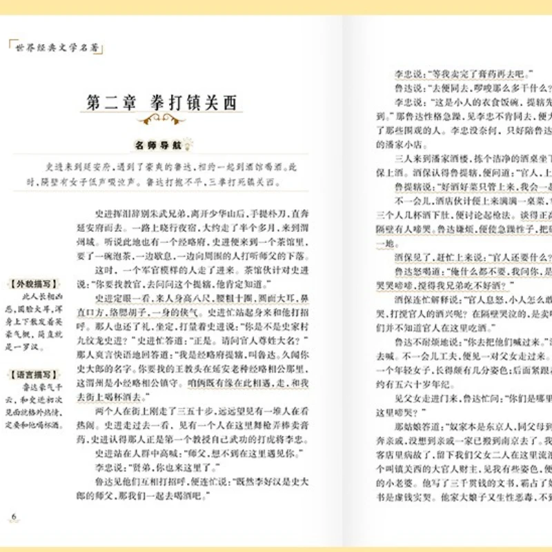 Outlaws of The Marsh: الروايات الكلاسيكية لطلاب المدارس الثانوية في الصف 9، الجزء الأول، كتب القراءة اللامنهجية