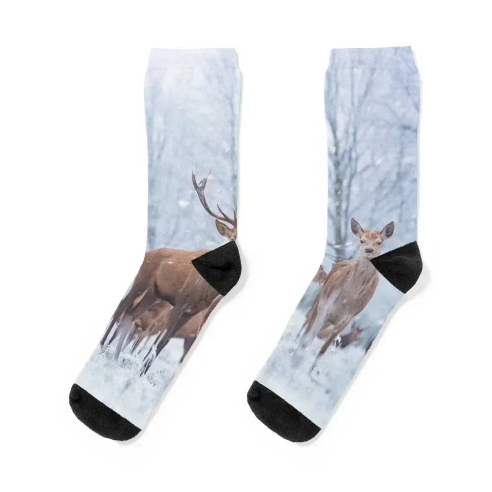 

Narnia red deer family Socks winter football floor Socks For Man Women's