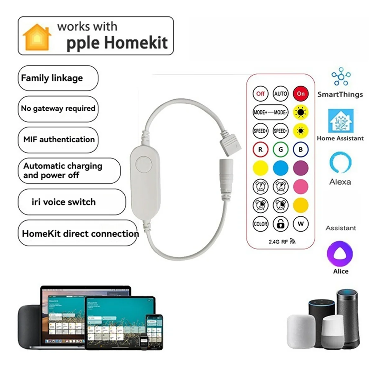 Pengontrol Strip Lampu LED Cerdas RGB untuk Kontrol Suara 12V dengan Remote 2.4G