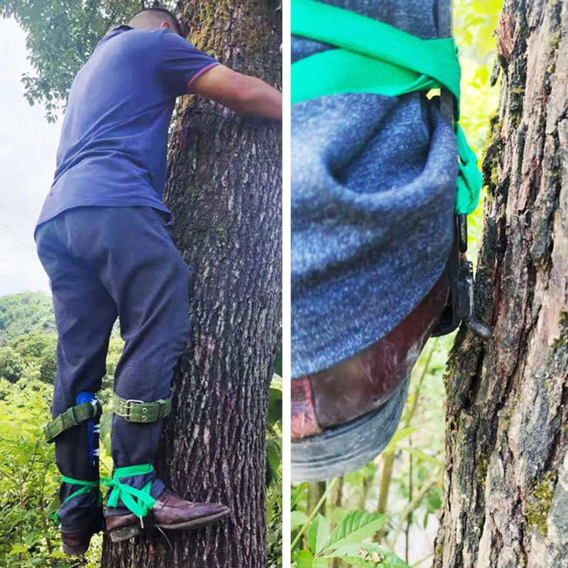Tree Climbing Tools Professional Outdoor Trees Climber Fruit Picking Tree Climbing Non-slip Shoes Practical Gardening Tools