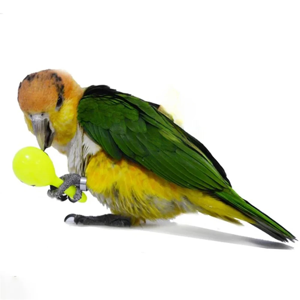 Cute Parrot Rattle Sand Hammer Sand Ball Bird Bites Wisdom Interactive Training Toys Pet Accessories Parrot Bird Rattle Toy