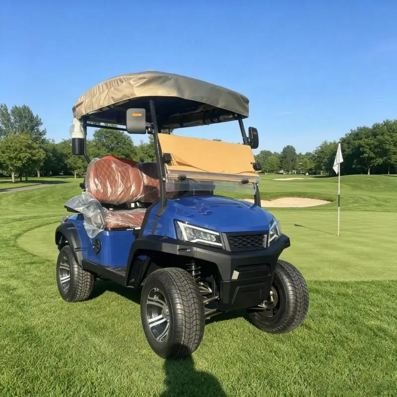 

Factory Direct 2 Seater Electric Golf Cart 48V/60V/72V Lithium Battery 2 Seat Cheap Electric Golf Buggy with Roof & Windshield