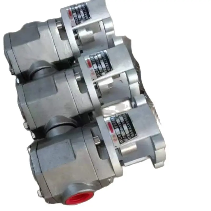 WCB-50/30/75/100 Stainless Steel Bare Gear Oil Pump (Bare Head)