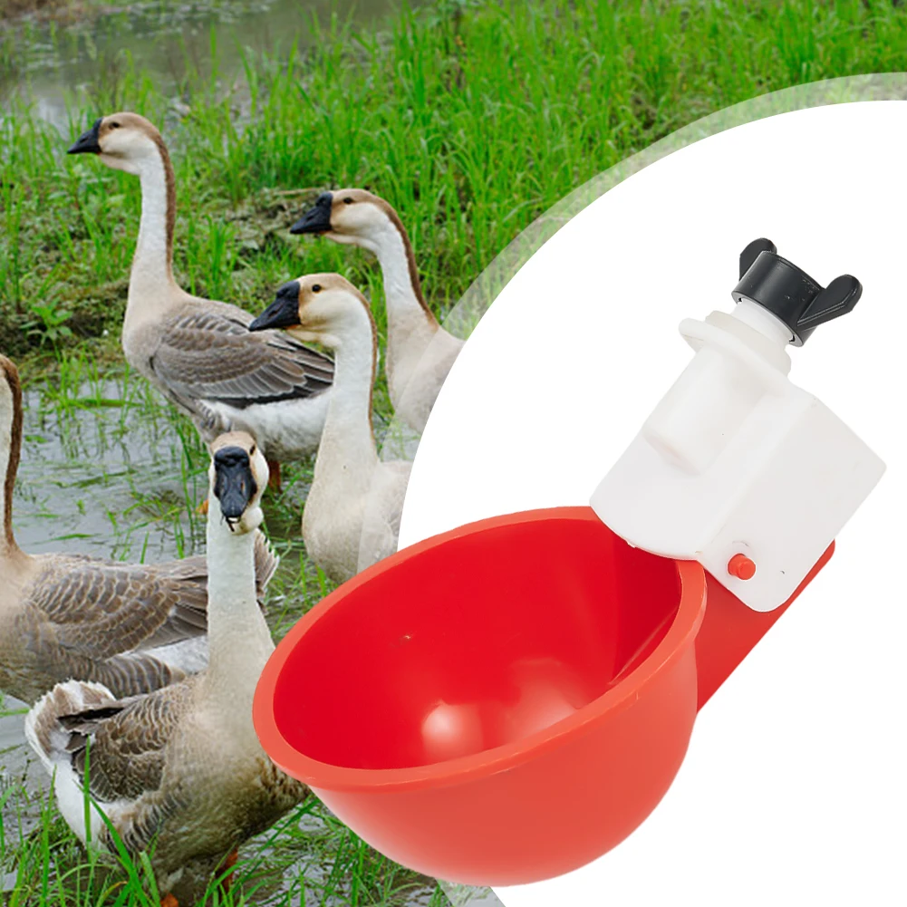Cups Chicken Waterer All Poultry 4PCS Automatic Chicken Drinker Chicken Duck Quail Poultry Drinker Red Watering Cups Brand New
