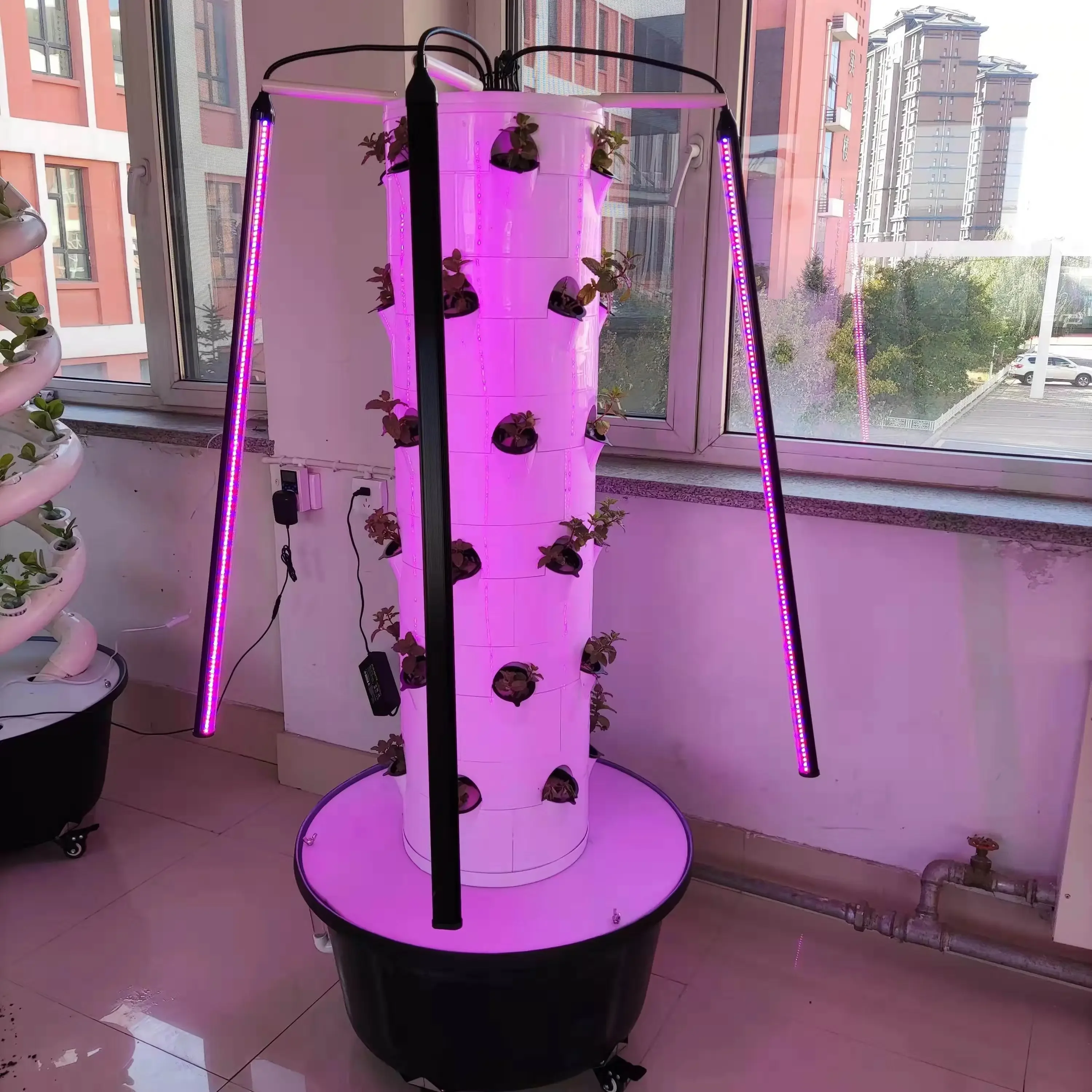 

Vertical farm hydroponic system, strawberry and leafy vegetable rotation, with lights