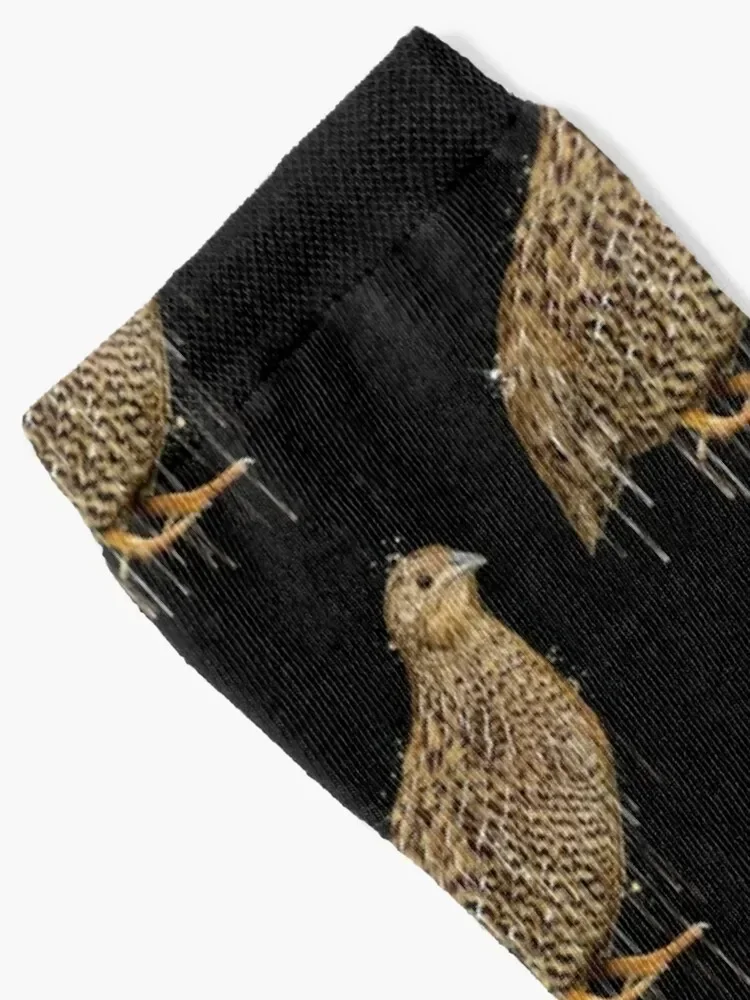 Quail Drip Socks tennis Stockings crazy floor Socks Ladies Men's