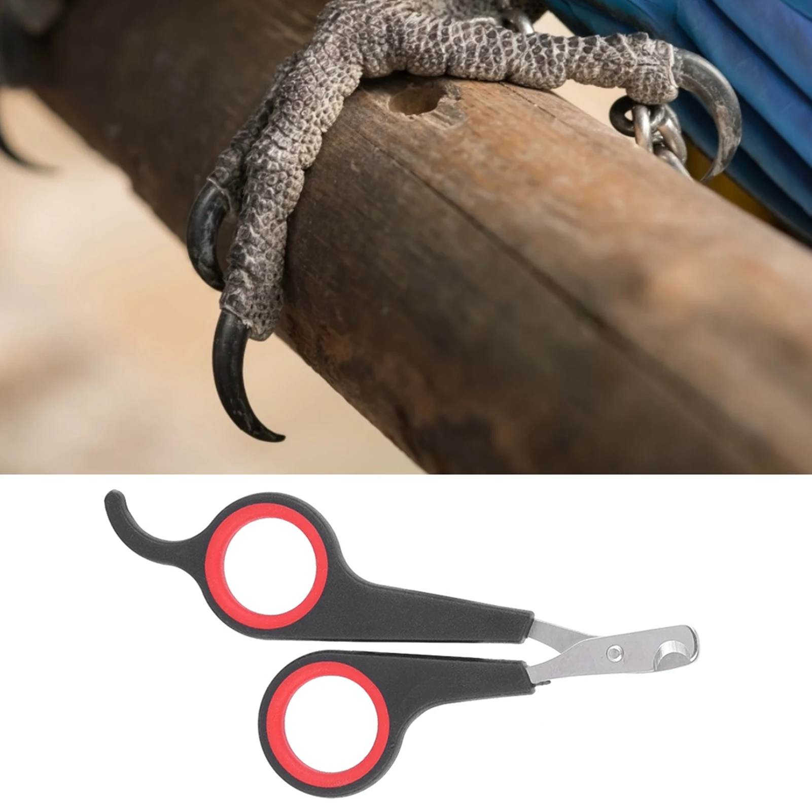 Animal Nail Scissors Pet Bird Parrot Small Animals Accessory Grooming Tool Nail Scissors Clipper Black and Red Bird Nail Clipper