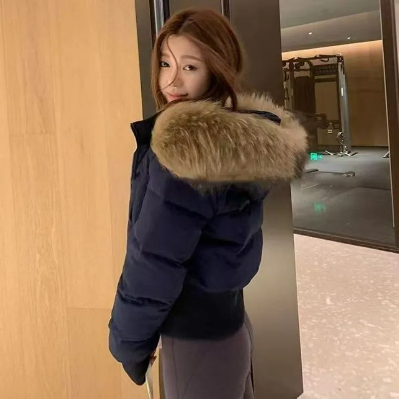 A New Short Waist-cinching Coat for Women in Winter with Gentle and Sweet Korean Style Warm Fur Collar Simple and Stylish Jacket