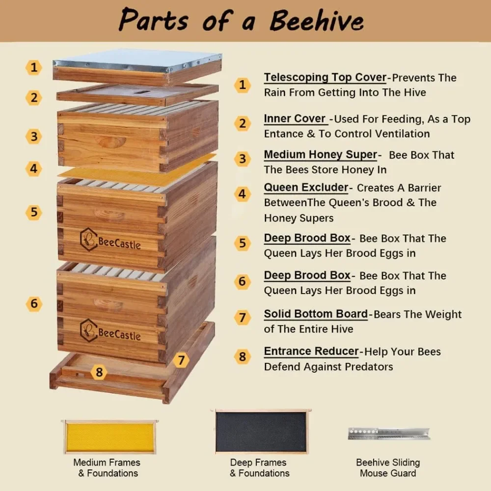 

8 Frame Langstroth Bee Hive Coated with 100% Beeswax Includes Beehive Frames and Waxed Foundations (2 Deep Boxes & 1 Medium Box