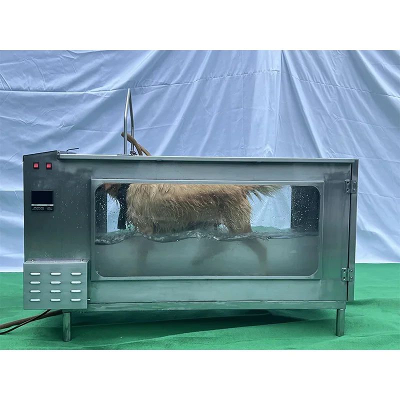 Pet Dog Vet Water Hydro Training Treadmill Stainless Steel Veterinary Hydrotherapy Underwater Treadmill for Dog