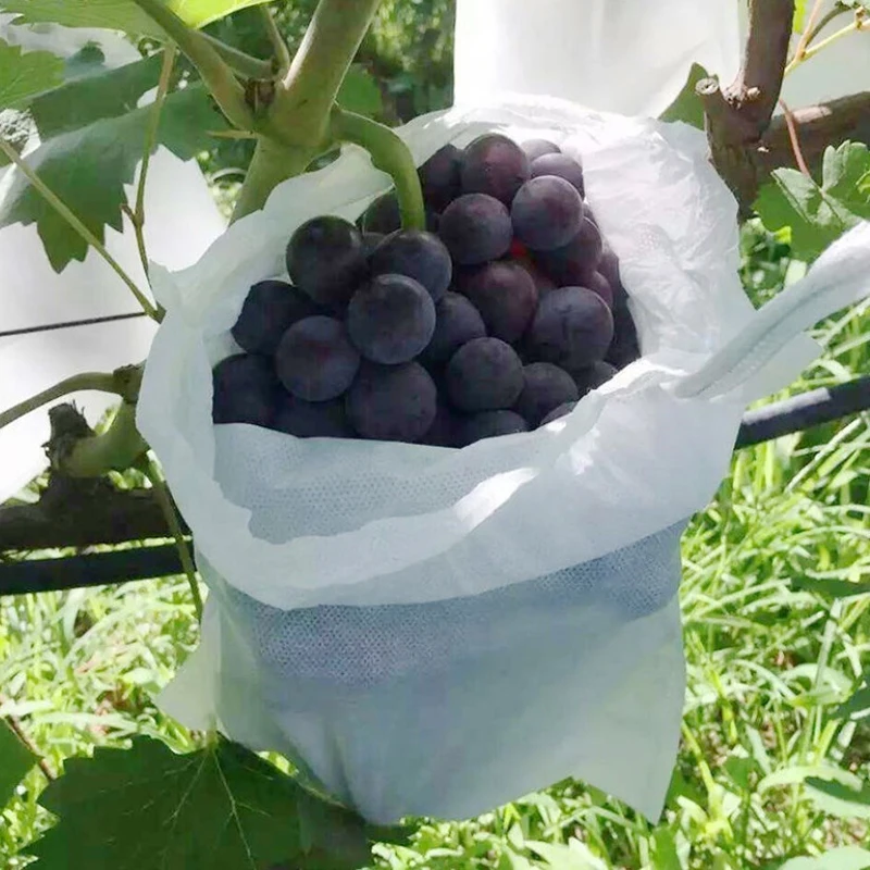 

100pcs Garden Strawberry Grapes Fruit Protection Bags Cover Plant Nursery Bag Pest Control Anti-Bird Mesh Bag Gardening Protect