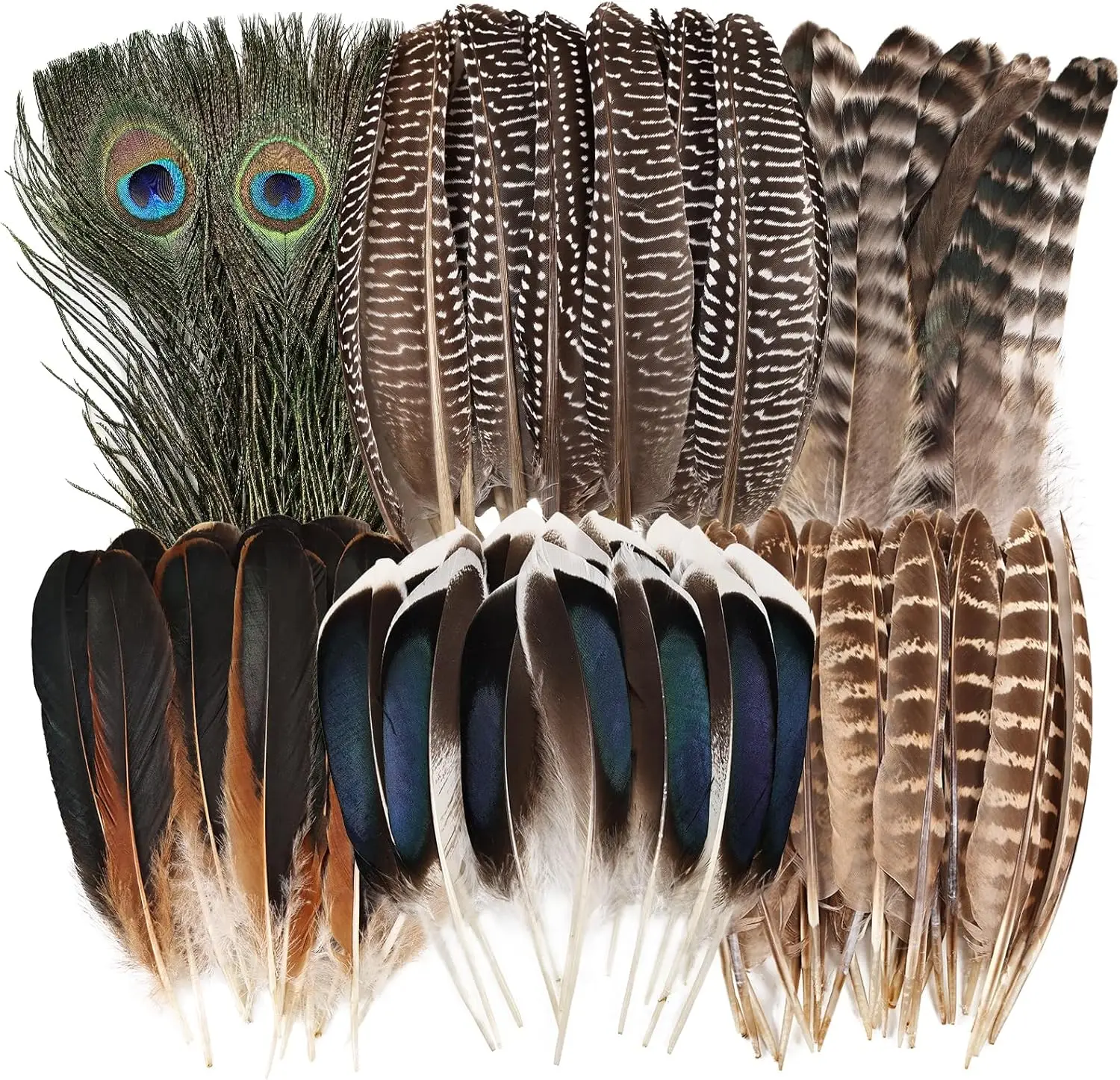 

48pcs Natural Feathers Bulk 6 Styles Assorted Peacock Pheasant Turkey Feathers for DIY Jewelry Hat Wedding Home Party Decoration