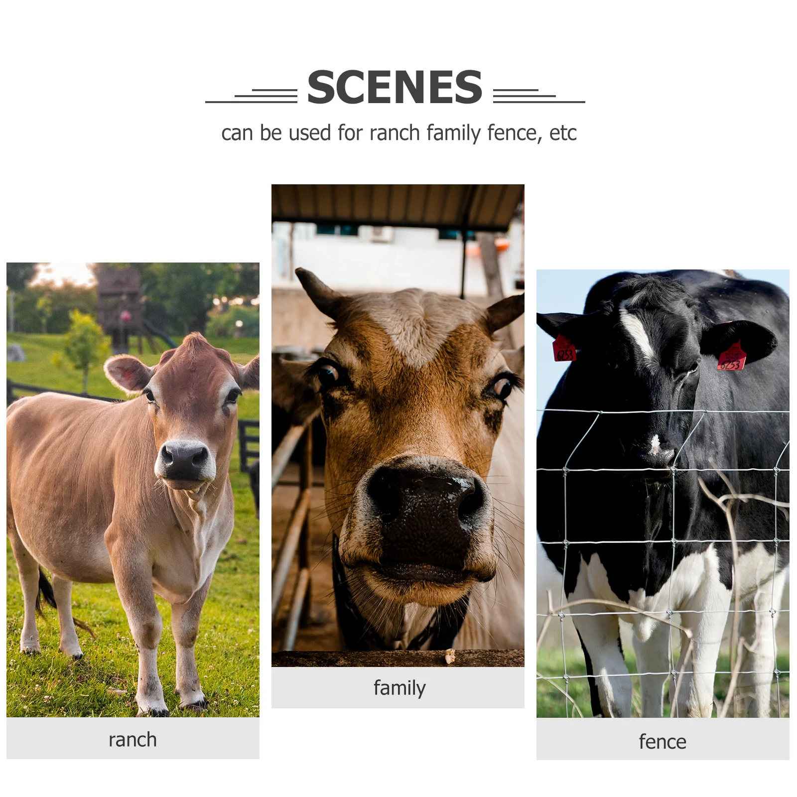 

Calf Milk Bottle Thickened Silicone Pacifier Feeding Animal Livestock White Silica Gel Newborn Nursing