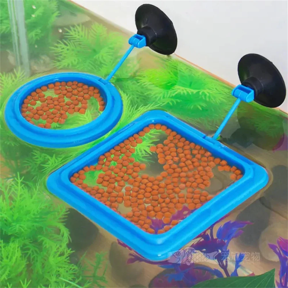 Fish Feeding Supplies Plastic Buoyancy Circle for Aquarium Floating Food Feeder Square/Round Feeding Ring Mini Fish Tank Tools