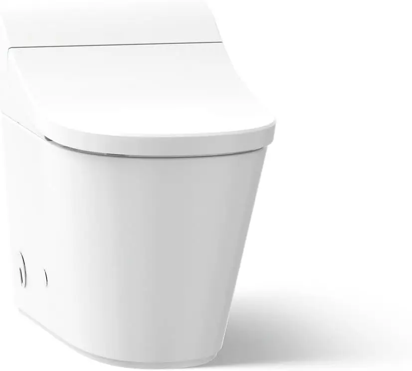

Innate Smart Toilet with Bidet Built In, White, One-piece Elongated Style, Dual-flush with Integrated Personal Cleansing