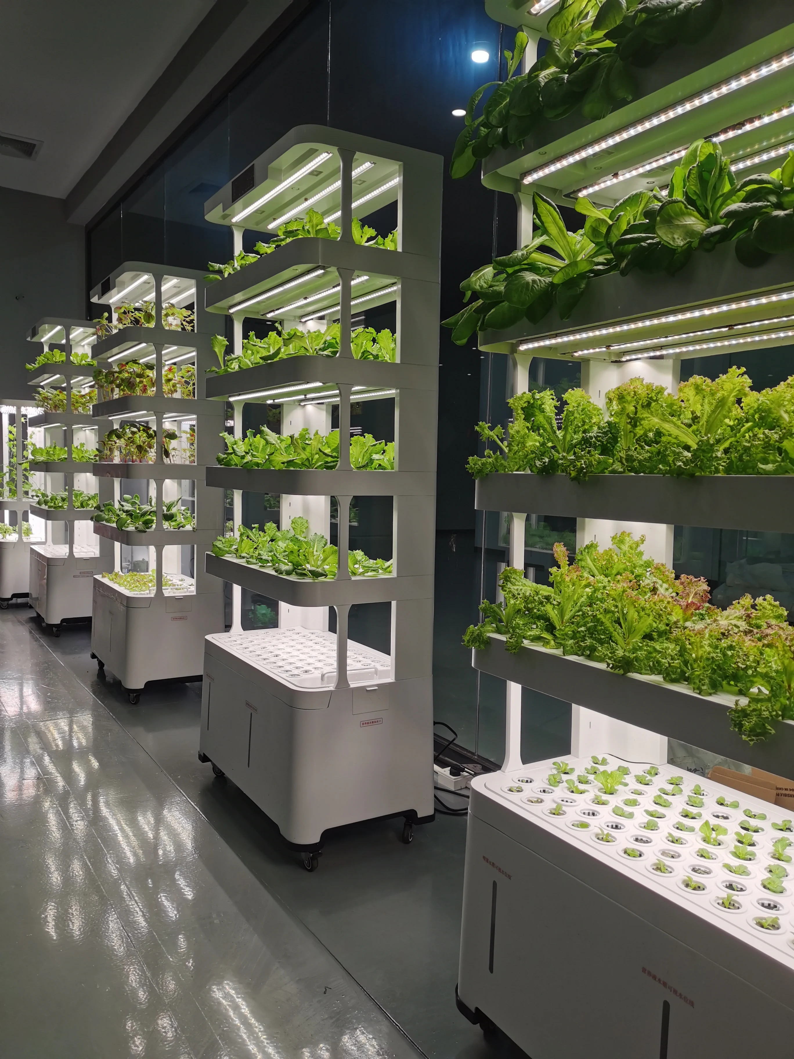 Hign End Eco Friendly Products Torre Hidroponica Vertical Farming Equipment Smart Micro Greens for Planting Vegetables