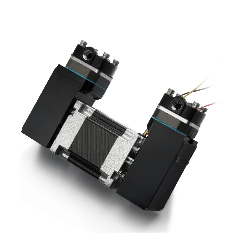 Doppelköpfe, 24 V, elektrische Gleichstrom-Luftpumpen, 8 bar, PWM-Geschwindigkeit, einstellbare Gaspumpe, bürstenloser Kompressor, kleine Schaukelkolben-Vakuumpumpe