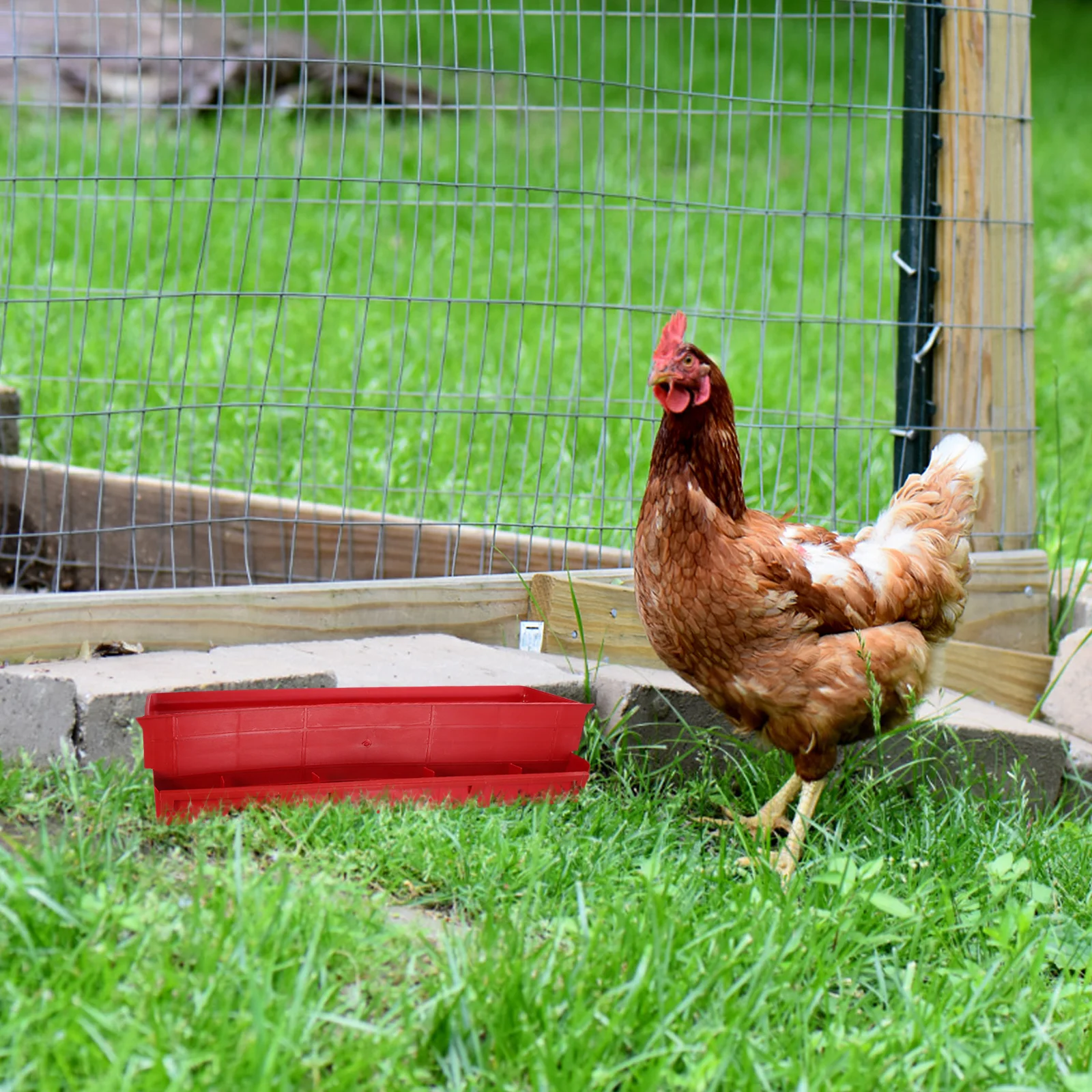 

Automatic Chicken Feeder Durable Poultry Feeding Troughs Sun Resistant Anti-Spatter Easy Install Refill Smooth Surface