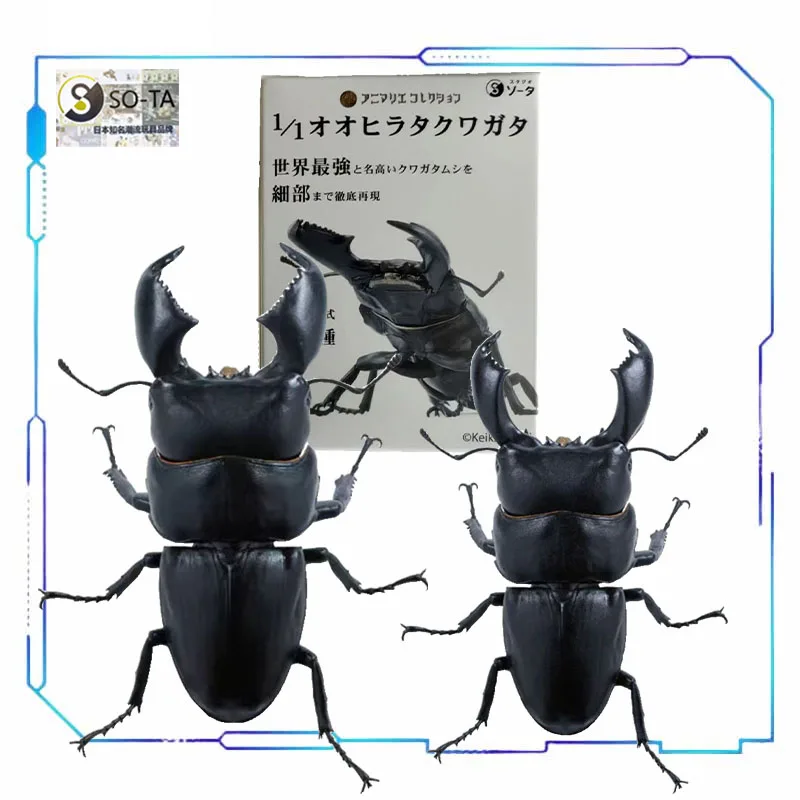 SOTA Original MODEL KIT Creature gacha Giant stag insect Box of eggs 1/1 Anime Figure Model Toys Model Gifts for Boys