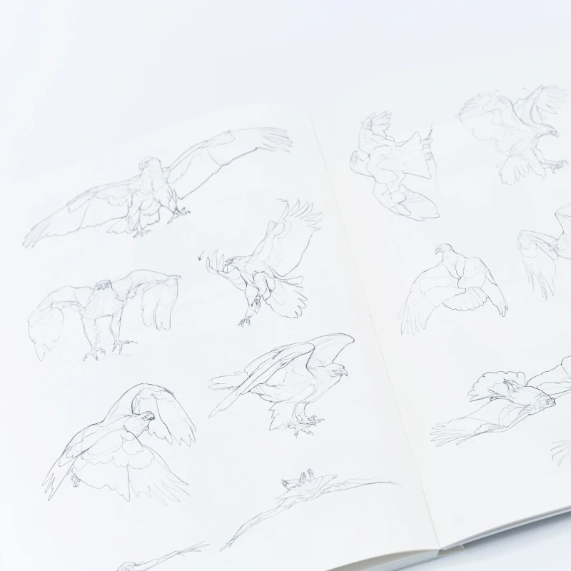 Animal Sketching Encyclopedia: 1000+ Gesture Drawing References