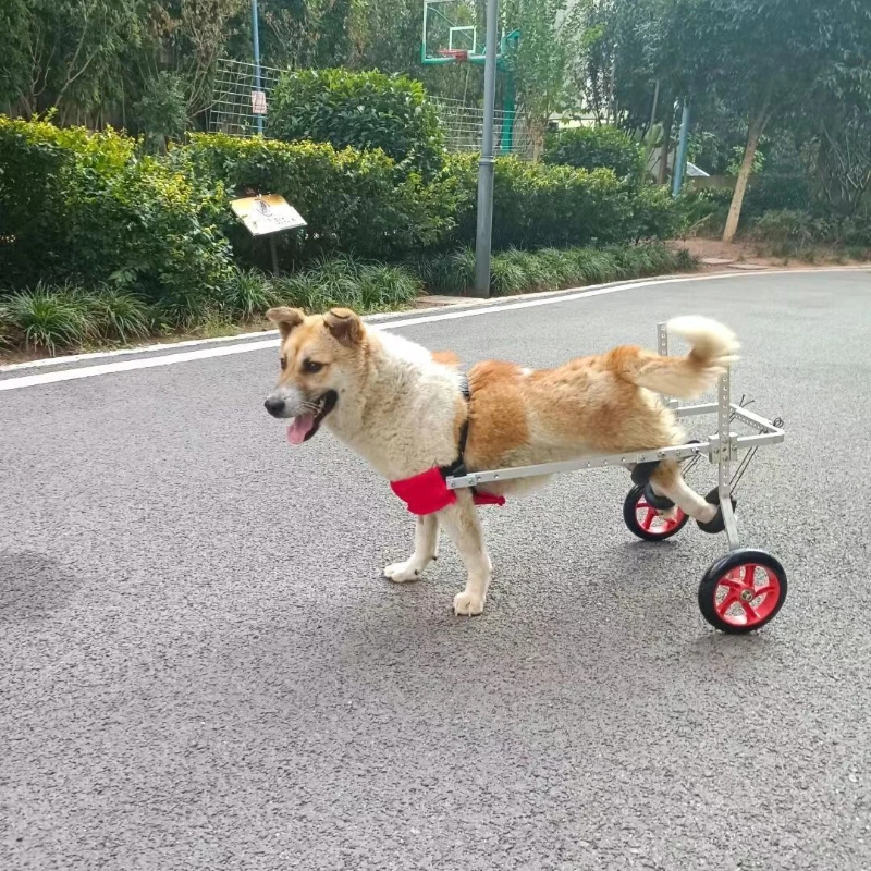 Haustier-Hunde-Rollstuhl, älterer Hund, Elektroauto, behindertengerechter Hund, hinterer Gliedmaßen-Booster, Vierrad-Rollstuhl für Hunde und Katzen