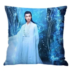 Luo Yunxi Pillowcase Pretty Scholar Same Paragraph Star Photo Poster Cushion Cover Surrounding Souvenir Pillow Covers Decorative