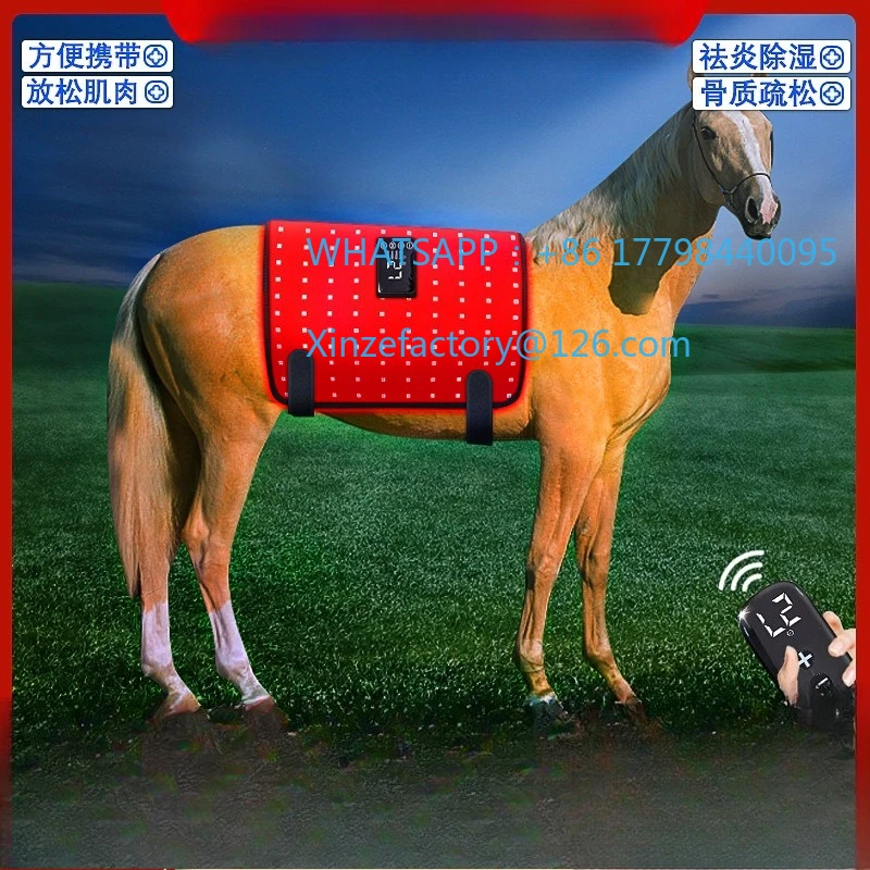

Customizable Portable Rechargeable Red Light Hot Compress for Horse Abdomen, Back, Shoulder and Leg Injuries