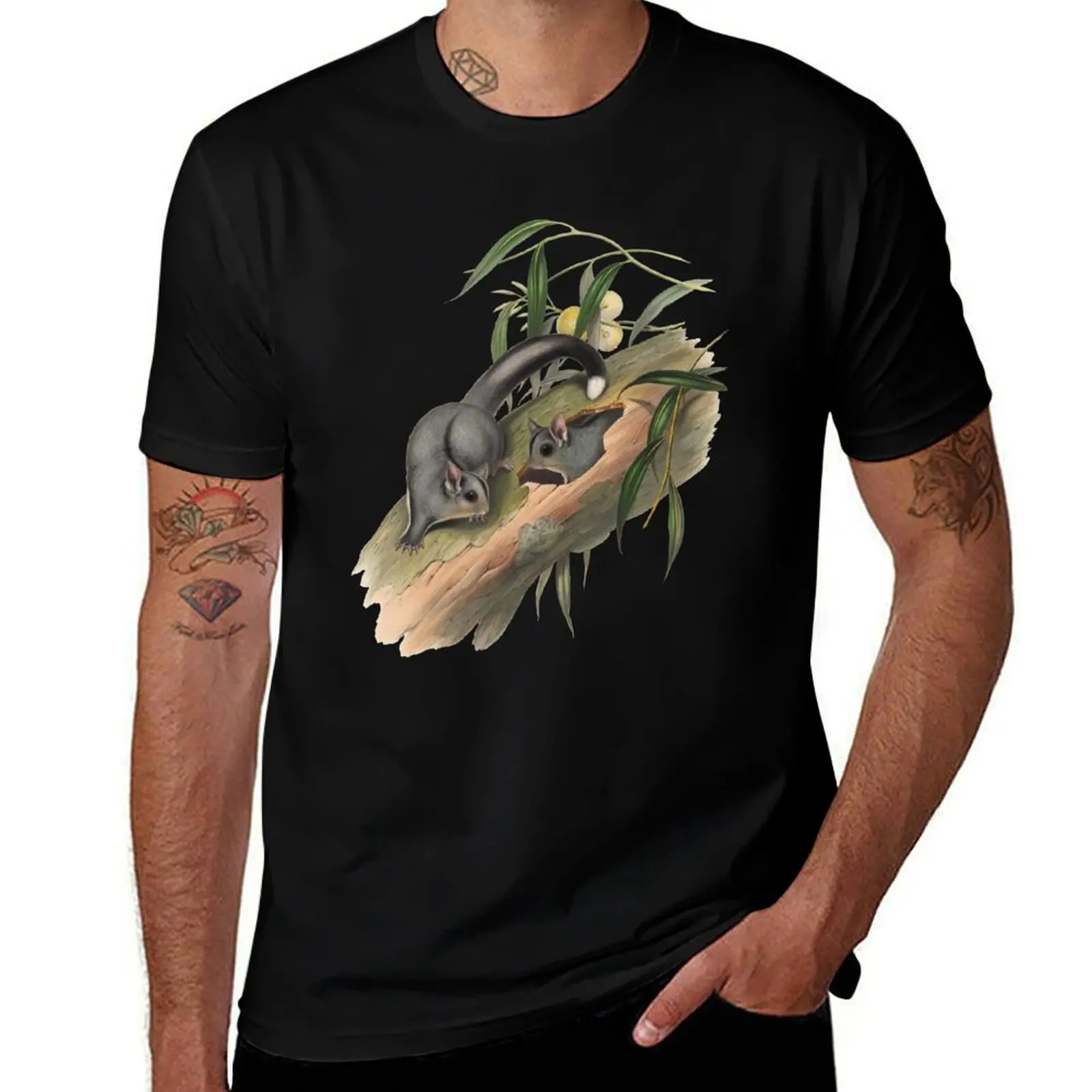 

Sugar gliders - Belideus Notatus T-Shirt funny t shirts dark humor t shirts for man cotton funny