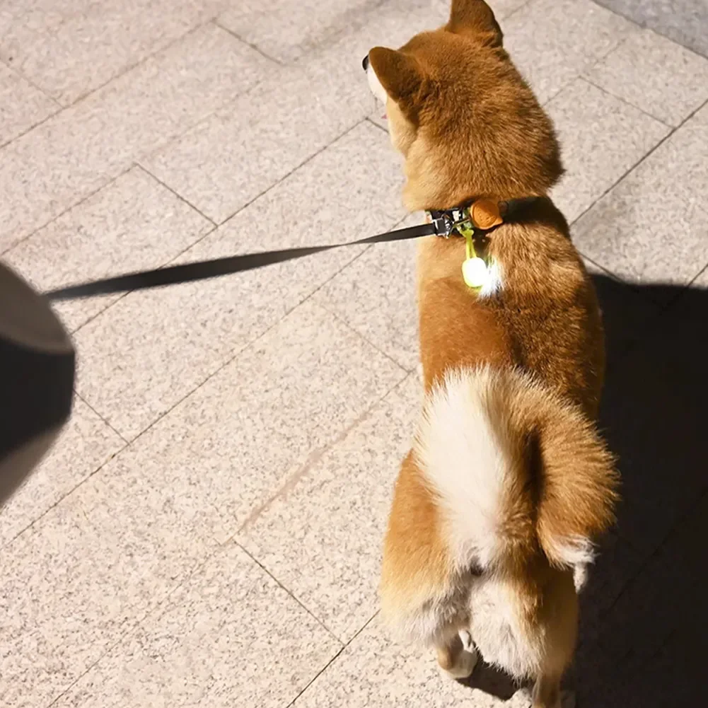 Wasserdichter LED-Haustieranhänger für Spaziergänge bei Nacht, Silikon-Halsbandanhänger, Bunt mit LED-Licht, Hunde-Anhänger Nachtlicht – Detail 5