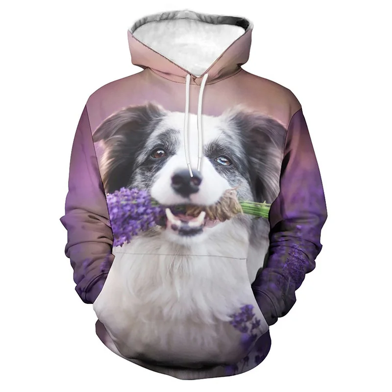 

2024 New Fashion Funny Pug Dog 3D Print Men/Women Hoodies Streetwear Boys Girls Fashion Sweatshirt Autumn And Spring Clothes