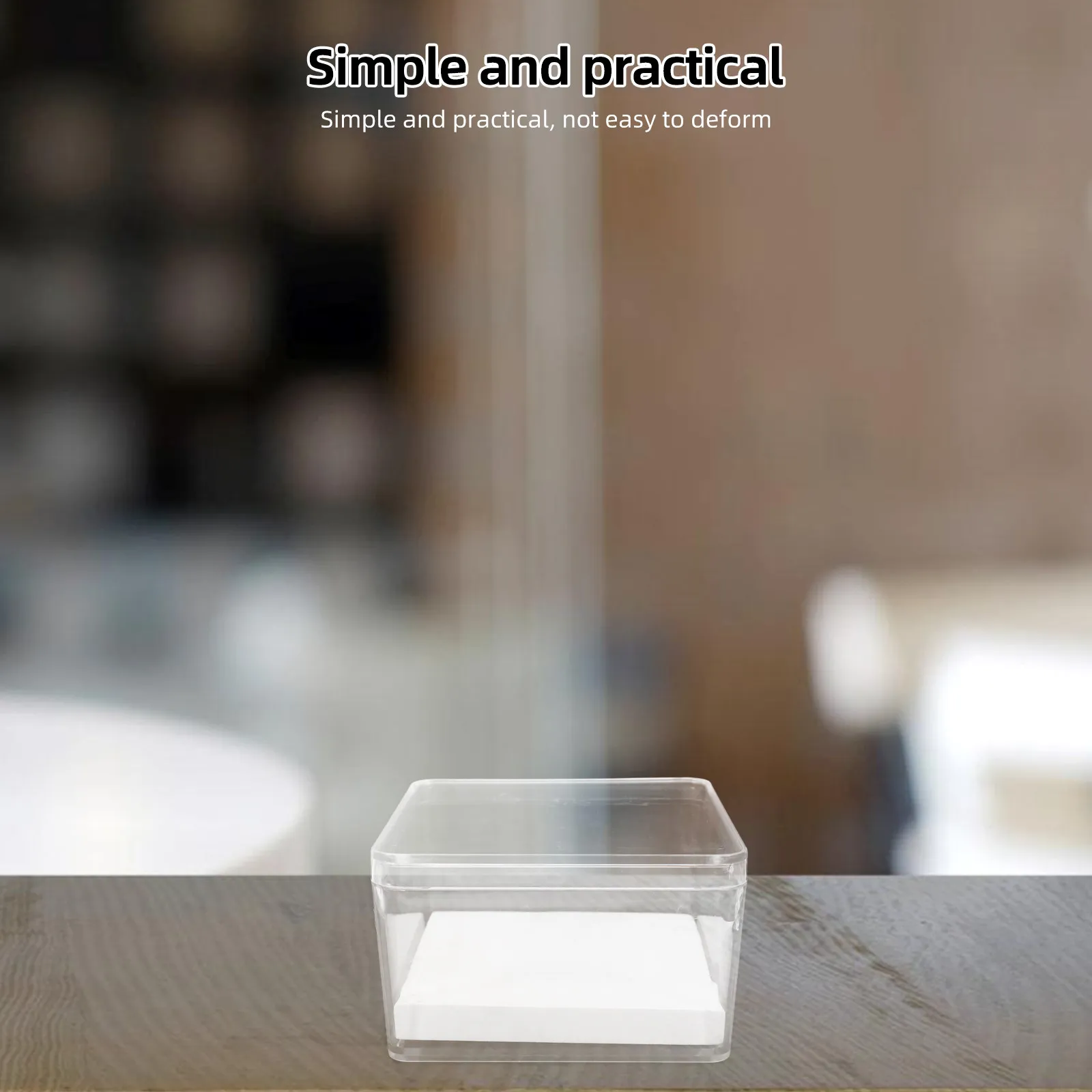 1Set Miniature Transparent Display Case Clear Specimen Container for Insects Minerals Entomology Specimens Secure Hold Elegant