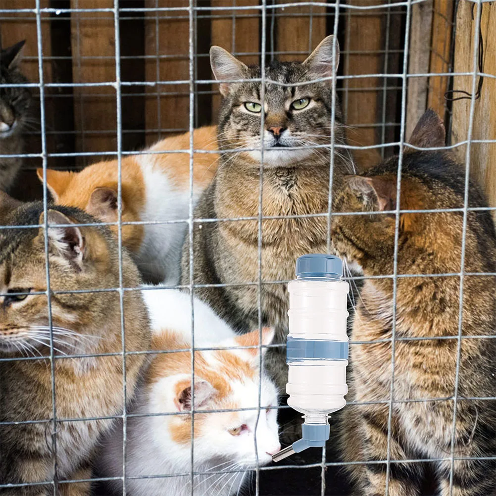 

Pet Water Bottle Hanging Type Automatic Dispenser for Rabbit Guinea Pig Small Animal Blue Easy Clean Anti Leak Stable